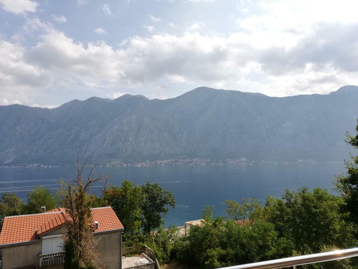 Ruza Apartments Kotor Buitenkant foto
